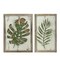 Melrose Set of 2 Rustic and Distressed Forest Green Leaf Framed Wall Plaques 19"